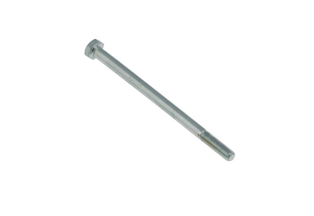 TE screw 6x100 mm