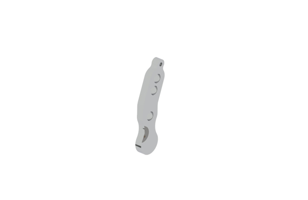 BSM 4 brake pump's lever