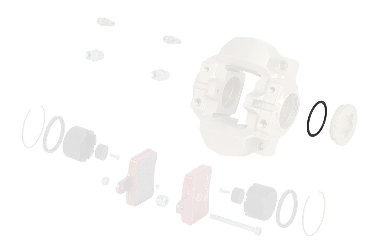 Rear caliper plug BSD o-ring