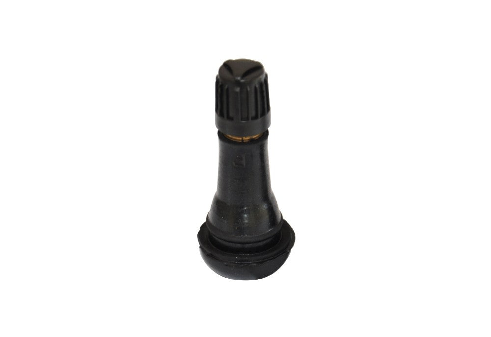 Tubeless wheel's valve