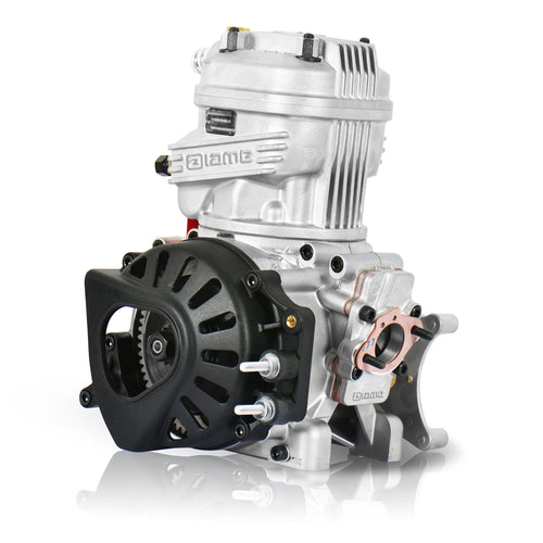IAME X30 Junior 125cc Engine official IAME product photo