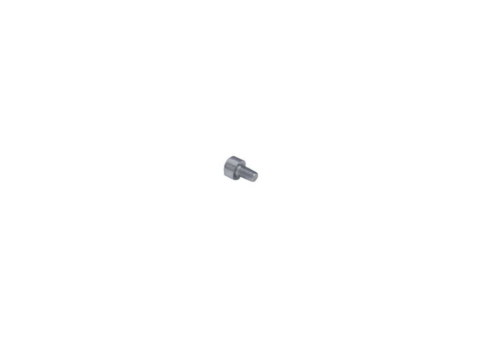 TCEI screw 4x6 mm