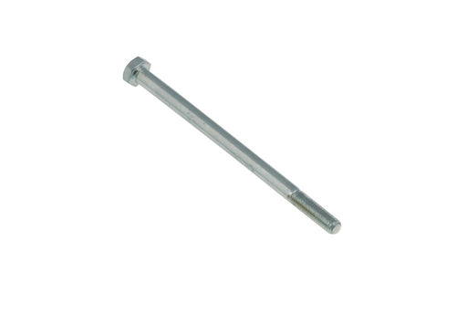 TE screw 6x100 mm