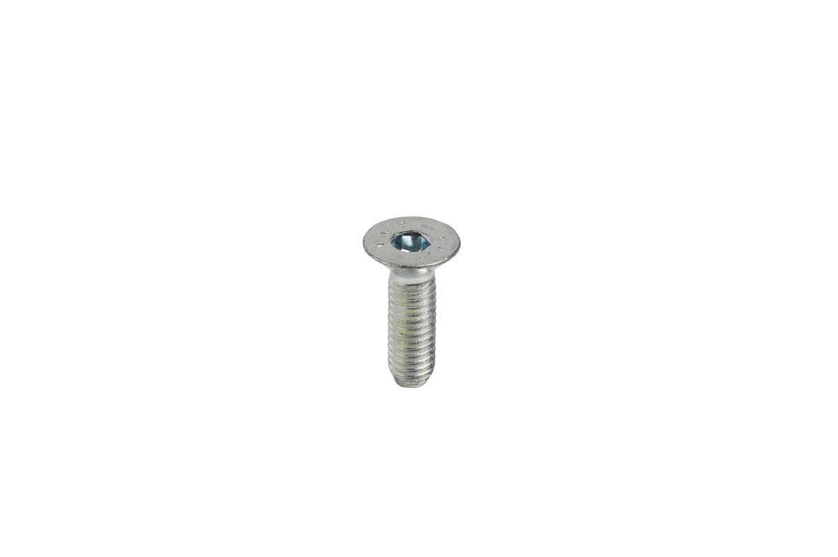 TPSCEI screw 6x22 mm