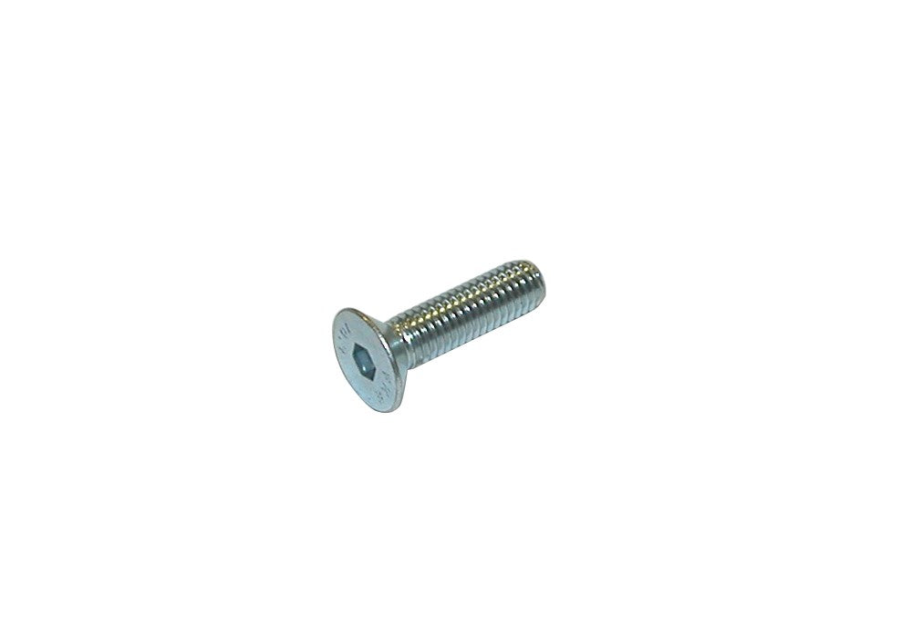 TPSCEI screw 8x20 mm