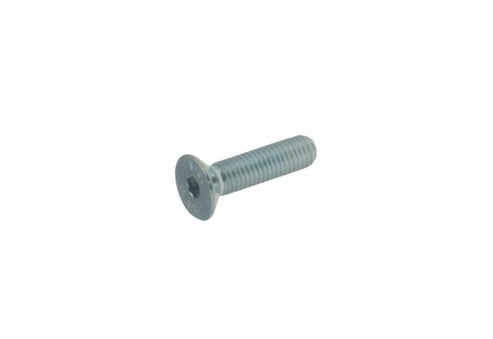 TPSCEI screw 8x40 mm